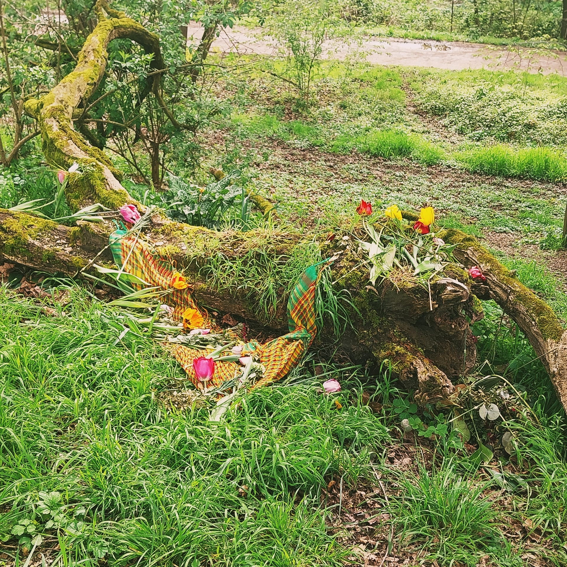 Hommage an meine Oma (Artikel 4)